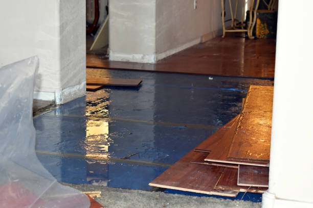 Professional Burst Pipe Cleanup technician working in Edmonson, TX